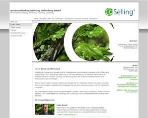 Webpräsenz (Content-Management-System) mit ausklappbarer, mehrstufiger Layer-Navigation